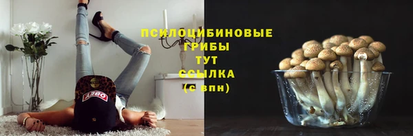 соль ск Балабаново